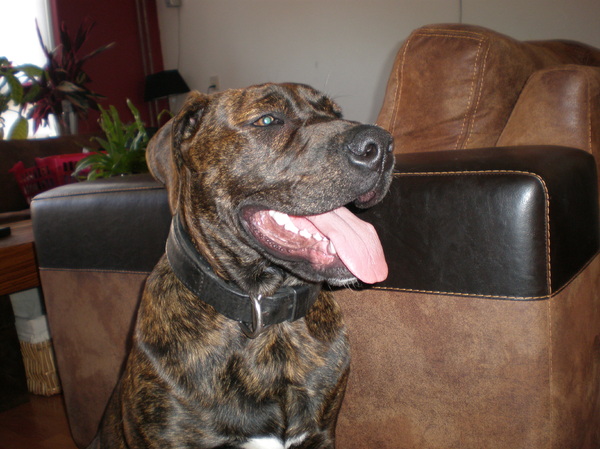 Balder cadebou van 6 maanden oud