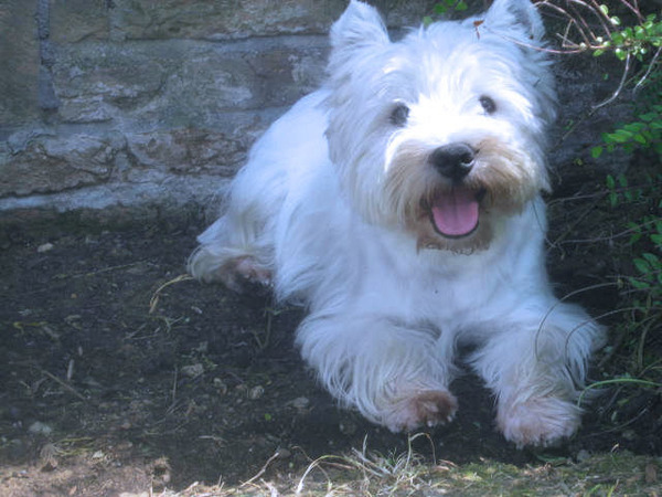 FROM CASTLE OF BEAUTIES