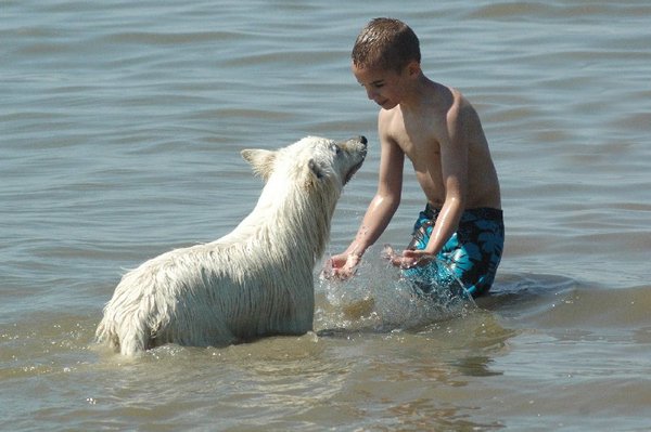 Liefde tussen kind en dier