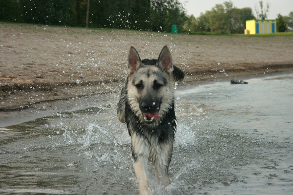 Evi gaat voor de eerste keer zwemmen