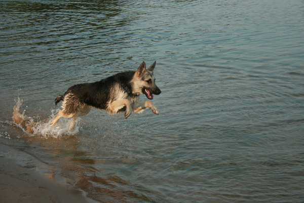 Evi geniet van haar eerste keer zwemmen