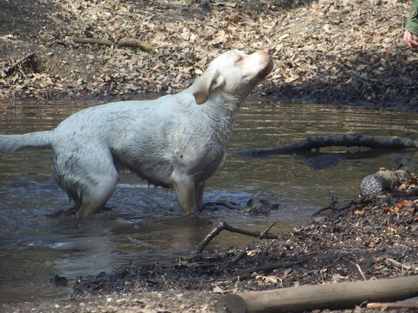 heerlijk zo'n verfrissend badje...