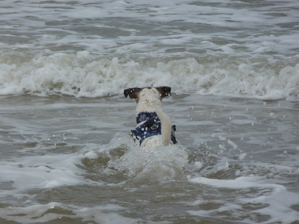 Nog 1 keer het water in.