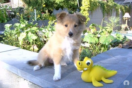 Jenna aan vijverfilter