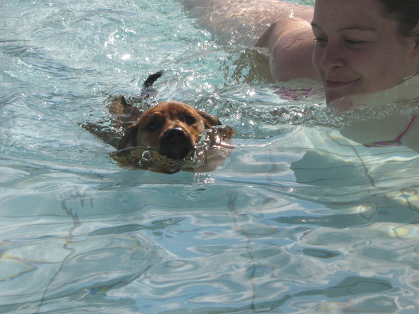 voor het eerst zwemmen