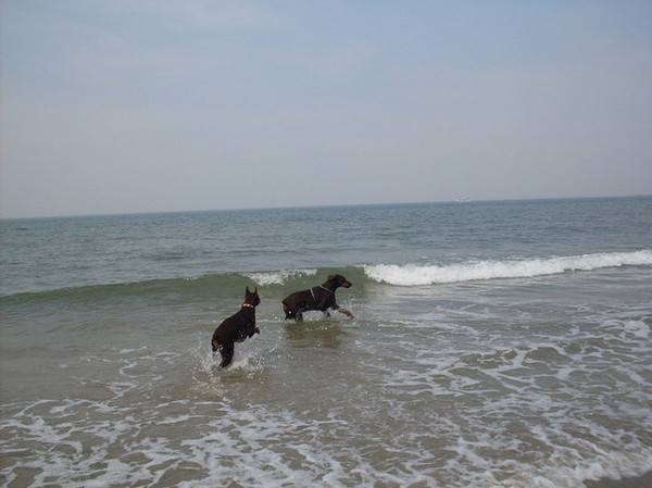 Hier aan de kust.. De Zeeuwse kust...
