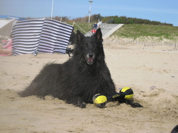 Gek op het strand!