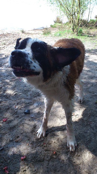 dit is pas waterpret!