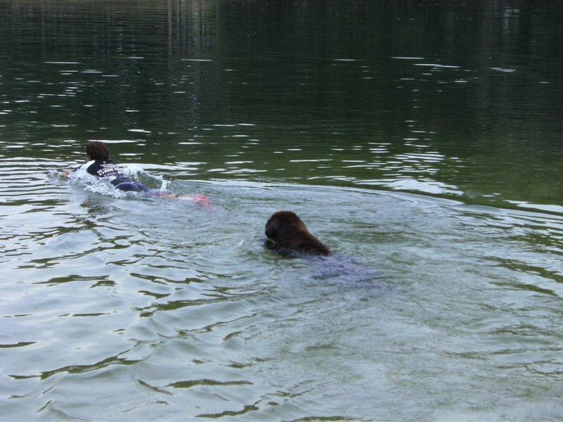 wat is niet mooier dan samen zwemmen .