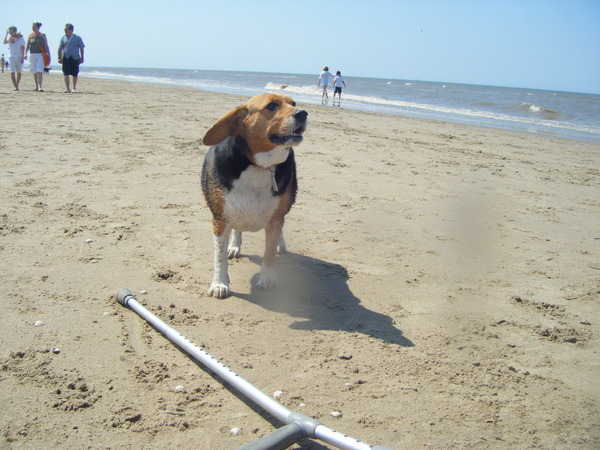Genieten in Noordwijk