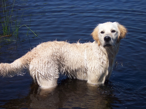 SpetterSpetterSpater, lekker in het water!!