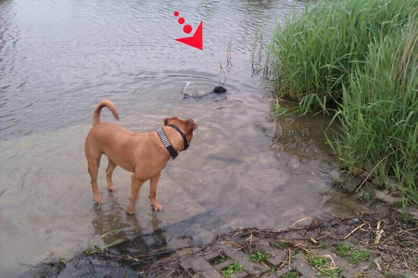 afkoelen na een warme dag!