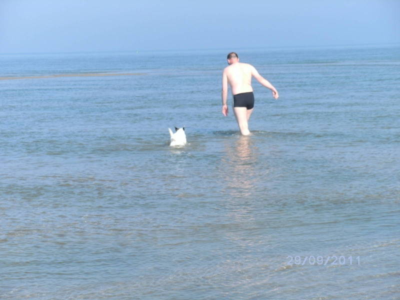 Samen met baasje zwemmen