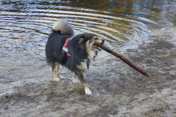 Taiko en z'n eerste stok