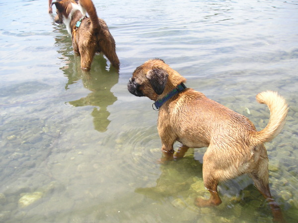 Wel een beetje eng dat water