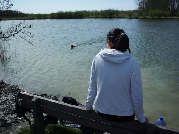 Dust zien spelen in het water