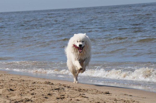 ik heb het reuze naar mijn zin.