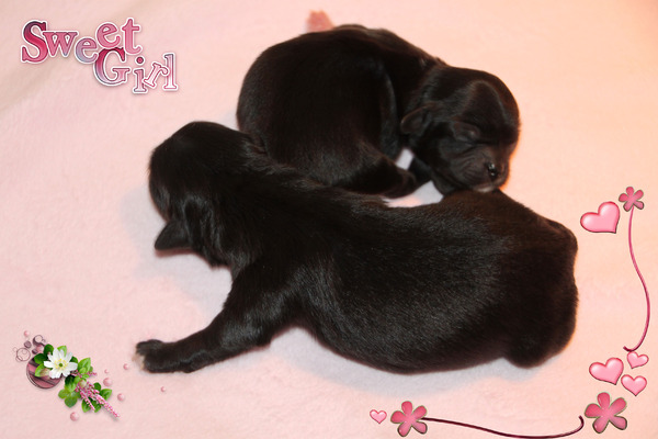 La Maison Du Marchand