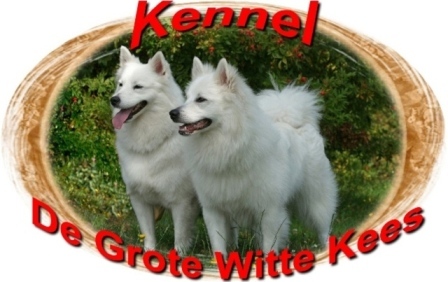 DE GROTE.WITTE.KEES.