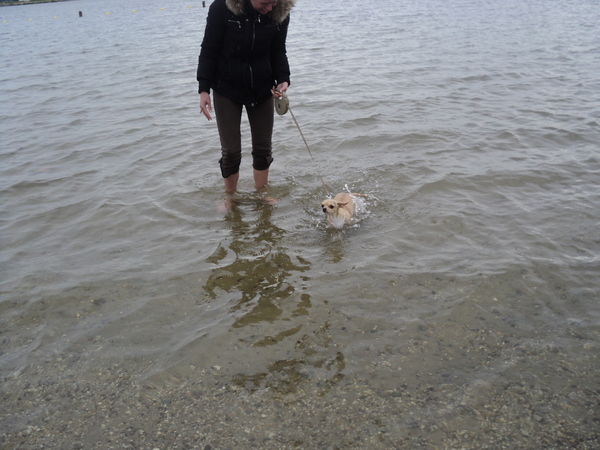 Yentl voor de 1e keer zwemmen