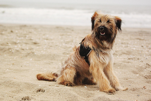 Groetjes van hoek van holland