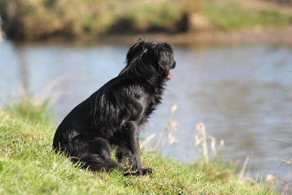 Wegdromen bij het meer...