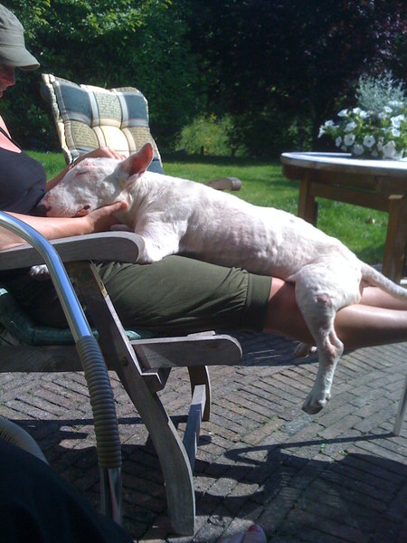 hoezo hangmat nodig?