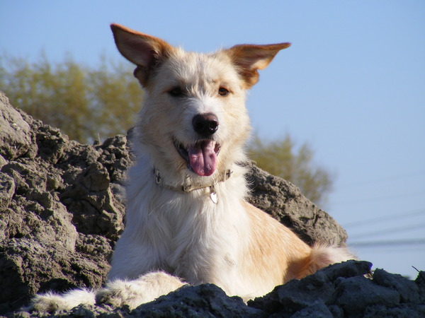 groetjes uit naaldwijk