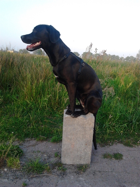 Groeten uit Friesland