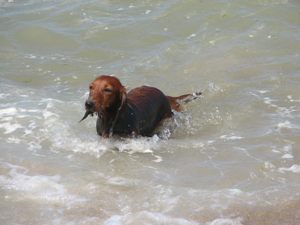 lekker in het zeewater