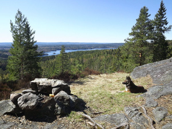 Groeten uit ... Zweden