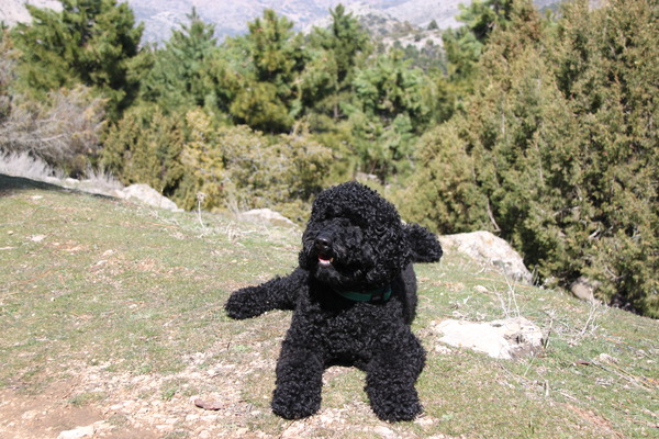 Effe uitrusten na een mooie wandeling in de Espuña