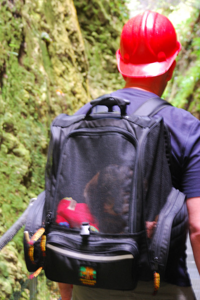 groeten uit Frankrijk