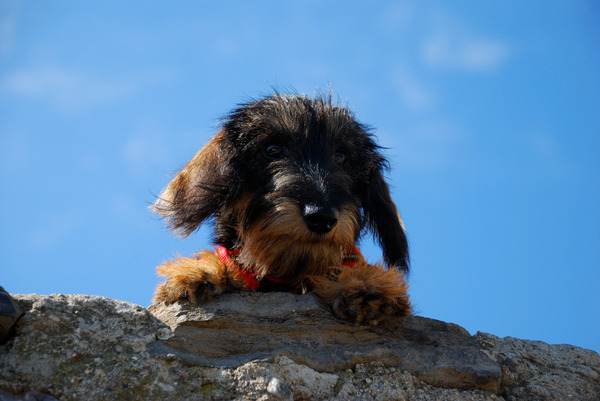 groeten uit frankrijk