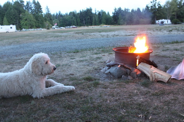 bij het kampvuur in Amerika