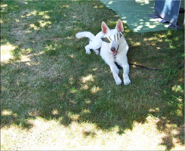 Groetjes vanuit het zonnige Frankrijk!