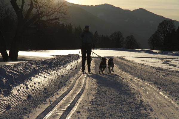 Shadow en Spot 1e keer voor de ski's