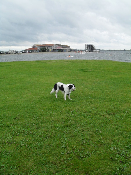 Groeten uit... Ouddorp (Zuid Holland)