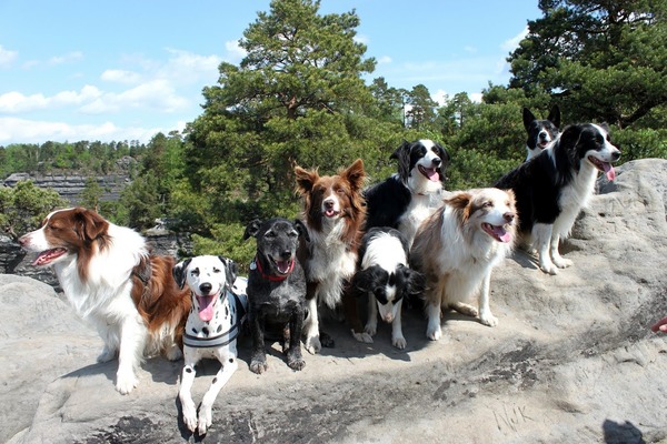 Met z'n allen in Tsjechië