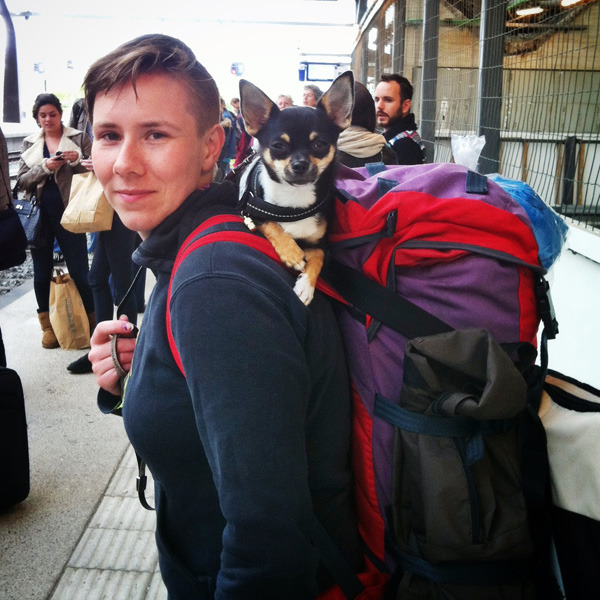 Groeten uit Nederland