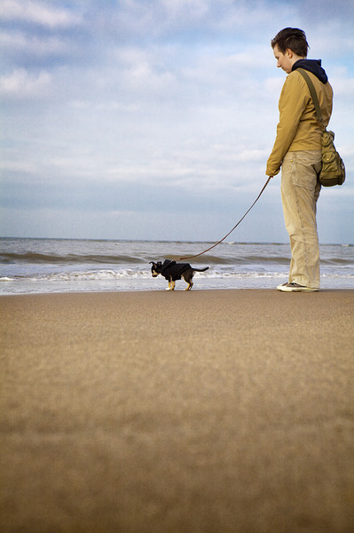 Groeten uit Scheveningen