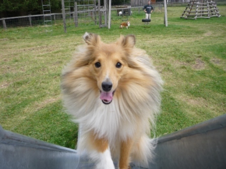 Jenna having fun in Oostenrijk