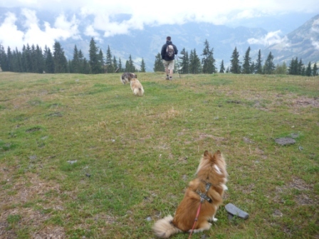 Tami wakend over de groep in Oostenrijk