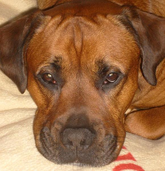 Laat me alsjeblieft slapen 