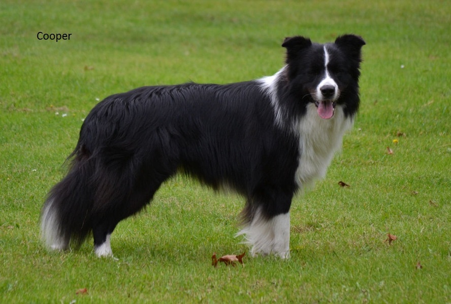 of Silver's Blue Eyes