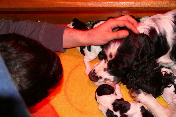 Aan de Toren van Hoogersmilde