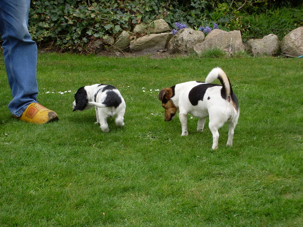 Aan de Toren van Hoogersmilde