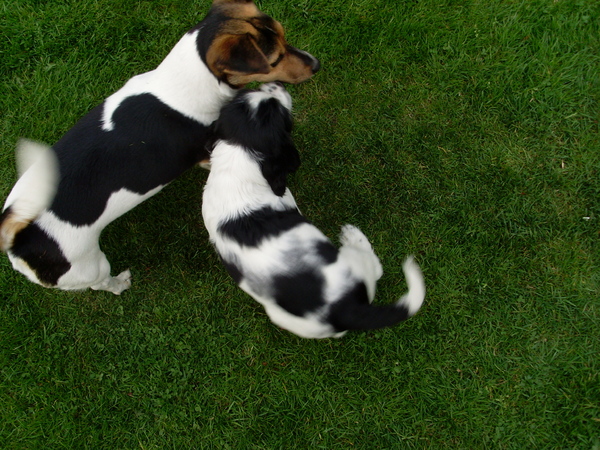Aan de Toren van Hoogersmilde