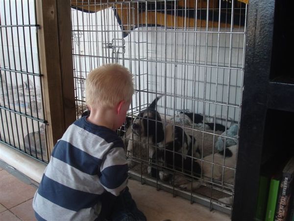 Aan de Toren van Hoogersmilde