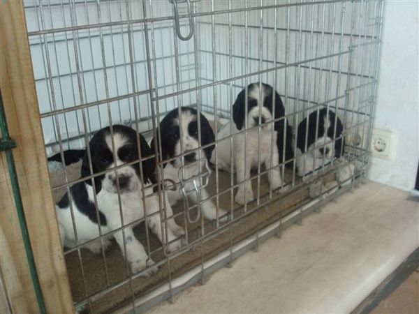 Aan de Toren van Hoogersmilde